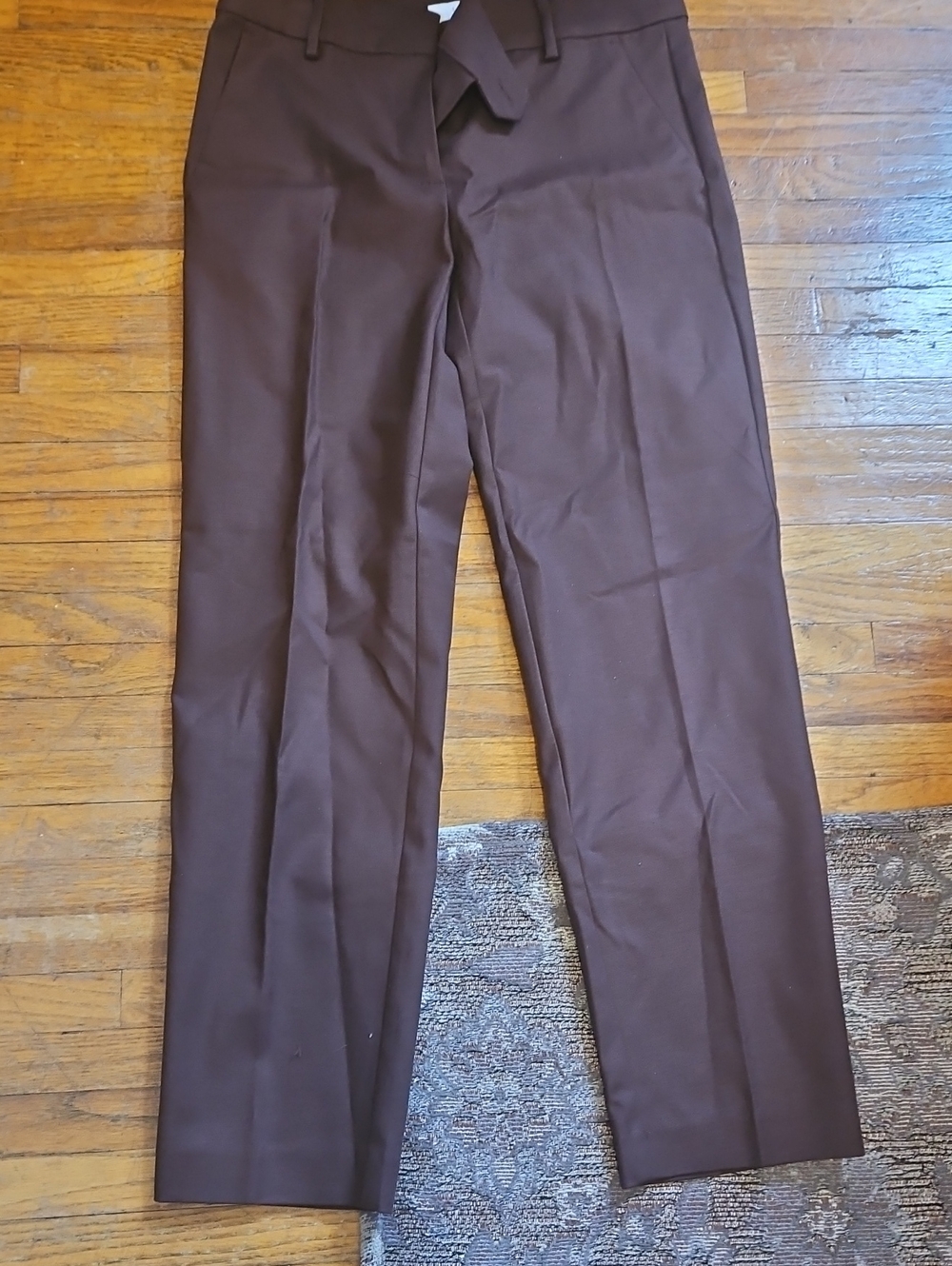 LOFT Womens Dress Pants in Dark Brown